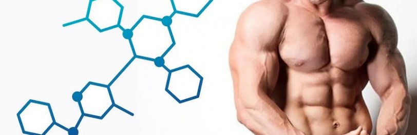 Действенные естественные способы повысить тестостерон у мужчин