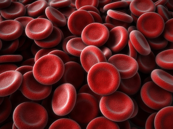 «Устаревание» крови ведет к серьёзным проблемам со здоровьем