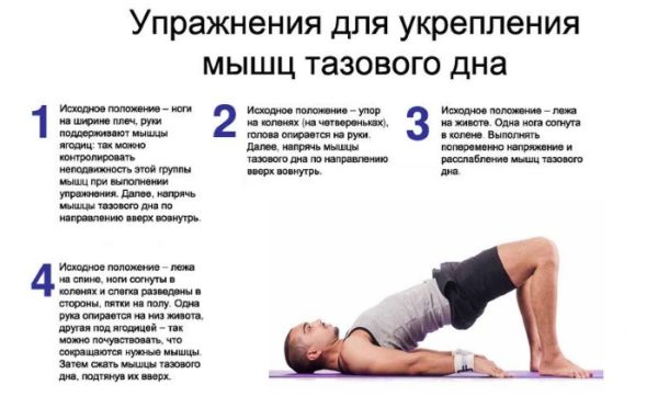 Упражнения для укрепления мышц тазового дна