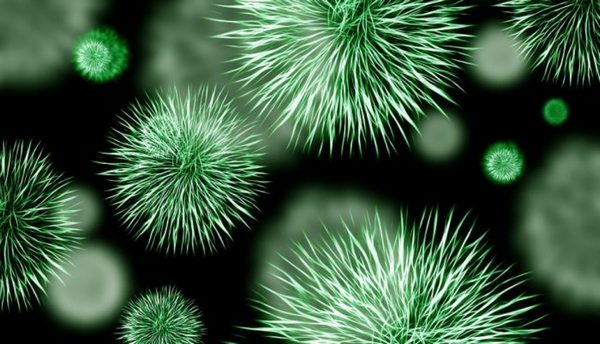 Препарат способен бороться с герпесвирусами