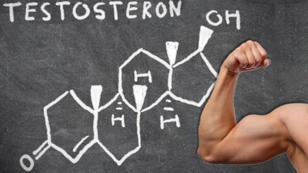 Как повысить тестостерон у мужчин?