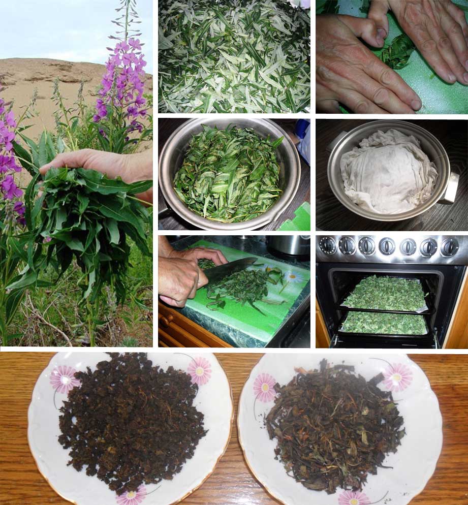 Как приготовить листья чая