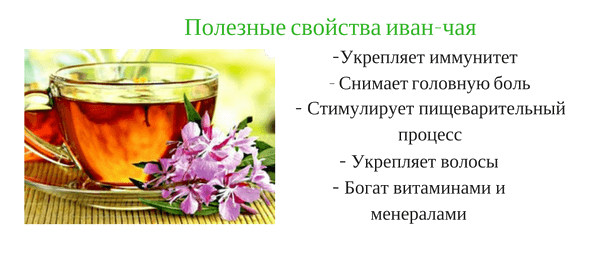 Полезные свойства Иван-чая