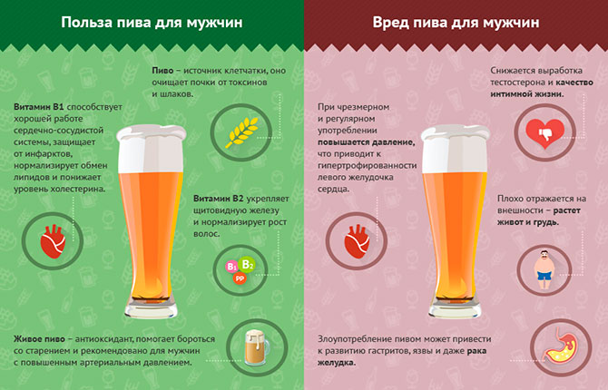 Польза и вред пива